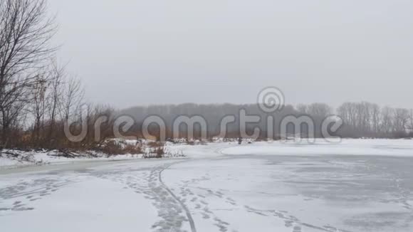 冰冻河流或湖泊的景色在远处你可以看到冬天的森林视频的预览图