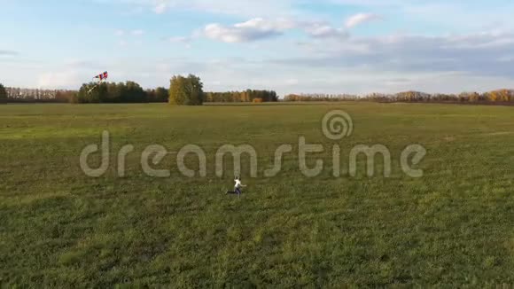 那个男孩在绿色的田野上带着风筝跑步欢声笑语喜庆的心情秋天视频的预览图