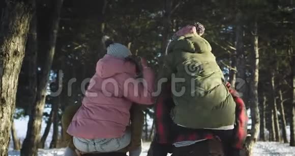 在一个阳光明媚的冬天迷人的女士们和男人们在雪地森林里享受在一起的时光女人们在雪地上视频的预览图