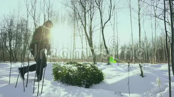 一个人带着一棵倒下的树从森林的家为新年假期圣诞节和新年背景情况视频的预览图