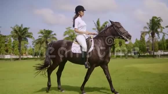 美丽的年轻女士骑马湾马在阳光明媚的日子慢动作女孩享受马术娱乐视频的预览图