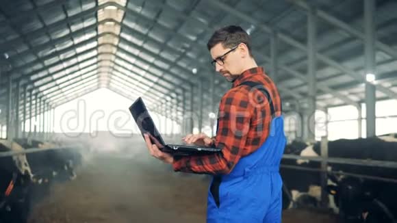 一个男人用笔记本电脑工作站在一个有奶牛的谷仓里视频的预览图