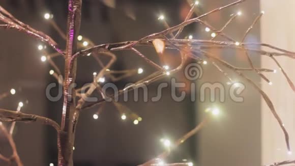 枝灯装饰植物树芽发光视频的预览图