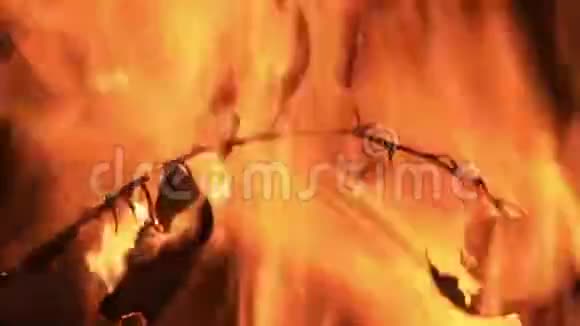 有叶子的树枝在火中燃烧视频的预览图