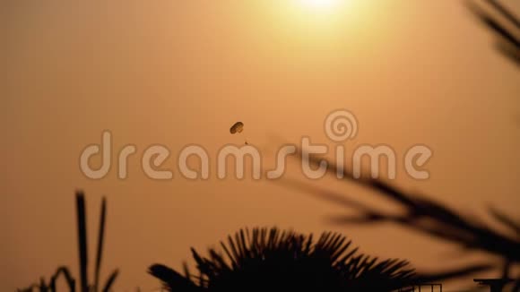 在日落时寄生降落伞在船后的绳索上飞行透过棕榈叶剪影观看视频的预览图