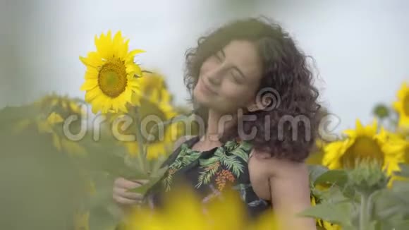 站在向日葵田野上的漂亮卷曲顽皮的微笑女孩明亮的黄色自由概念快乐的女人视频的预览图