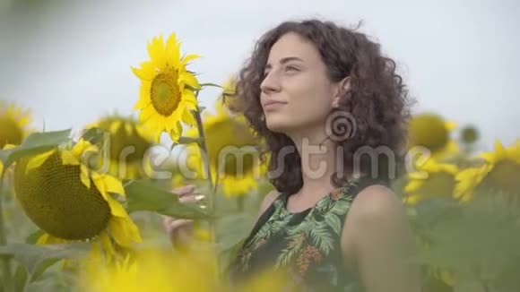 站在向日葵田野上的漂亮卷曲顽皮的微笑女孩明亮的黄色自由概念快乐的女人视频的预览图