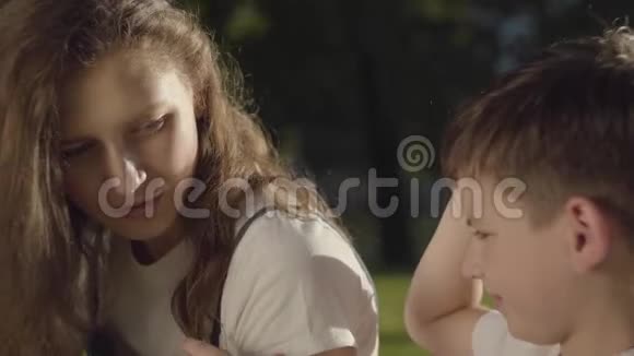 姐姐花时间和弟弟在户外的肖像那个男孩摸着公园里女孩的头发视频的预览图