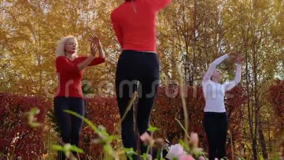 公园里运动女子一起跳舞的低角度视角视频的预览图