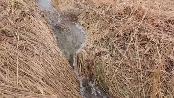 冬天的小溪水视频的预览图
