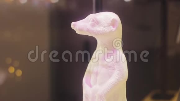 无花果白鼬装饰玩具背景中的波克视频的预览图