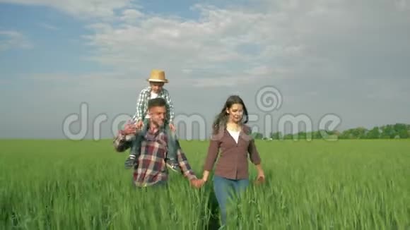 一家人一对幸福的年轻夫妇肩上扛着小男孩在绿色的田野里逆天行走视频的预览图