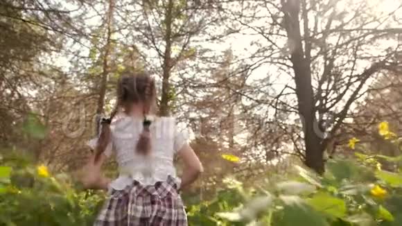 一个孤独的女孩在森林里高高的草地和鲜花之间奔跑从后面的角度看视频的预览图