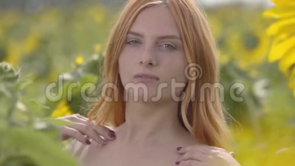 年轻自信的女孩的肖像红头发绿眼睛看着相机抚摸着她的长发站在上面视频的预览图