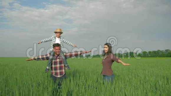 家庭农业综合企业男子与男孩肩膀和妇女旋转和在绿色麦田散步乐趣视频的预览图