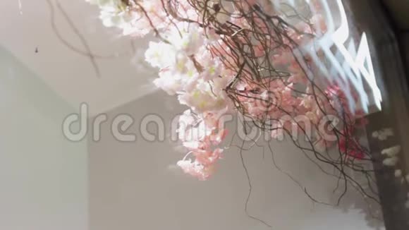 樱花花店橱窗花24小时浪漫美容视频的预览图