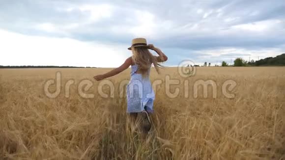 可爱的孩子长长的金发穿过麦田戴草帽的小男孩在大麦的草地上慢跑视频的预览图