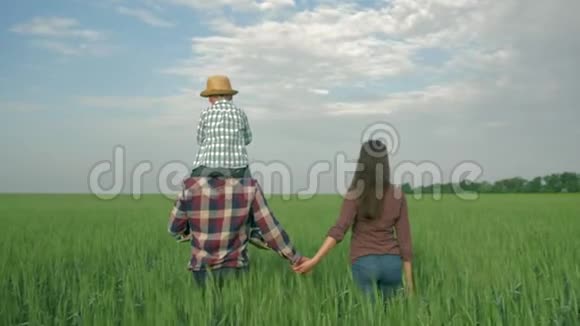农业年轻的家庭带着小男孩肩上扛着胳膊在绿谷地散步视频的预览图