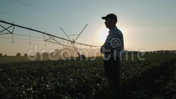 农民观看灌溉玉米地视频的预览图