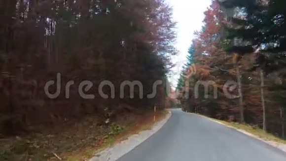 秋天开车穿过树林视频的预览图