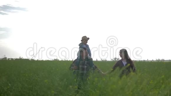农业企业快乐的男人和小男孩肩并肩女人在绿色油菜田与天空交流视频的预览图