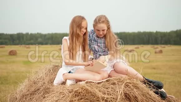 可爱活泼的女孩坐在干草堆上看书视频的预览图