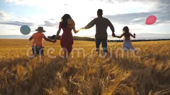 年轻的一对父母两个孩子互相牵着手在日落时穿过麦田快乐视频的预览图