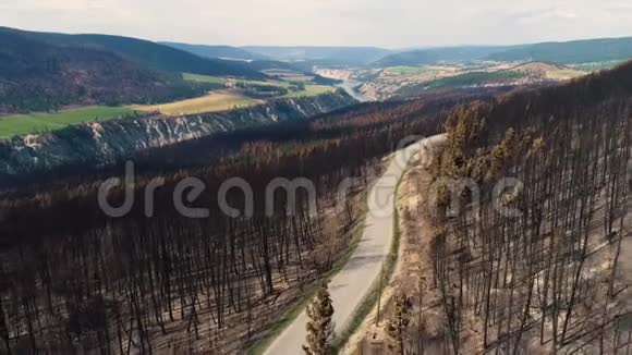 沿着燃烧的树木绿色平原和河流的道路视频的预览图