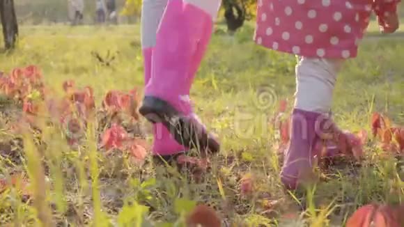 两个穿着粉红色橡胶靴和蓝色牛仔裤的雌性的特写在秋草上漫步小孩子花时间视频的预览图