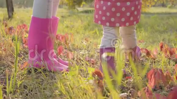 两只穿着粉红色橡胶靴的雌鸟站在秋草上小孩子和姐姐在一起视频的预览图