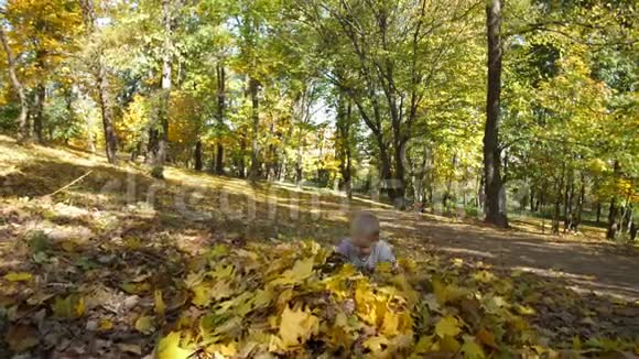 可爱的蹒跚学步的男孩在秋叶中玩得开心视频的预览图