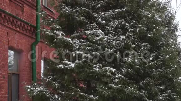 雪树靠近旧红砖建筑1819世纪冬季降雪白天旧旅馆或旅舍视频的预览图