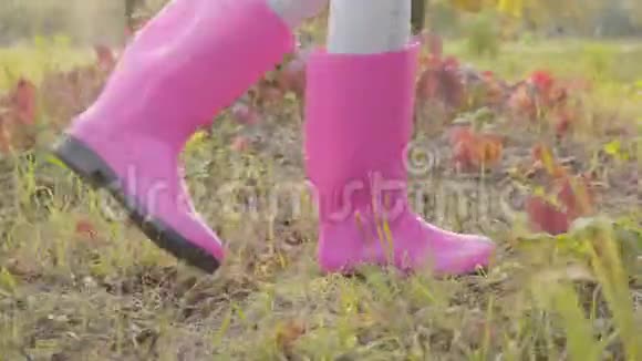 特写女腿穿粉色胶靴走在秋草上苗条的女孩周末在户外散步视频的预览图