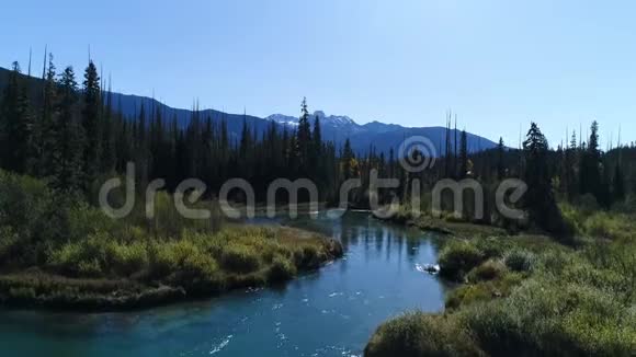 雪山树前美丽的小溪视频的预览图