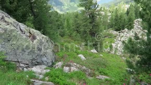 泽勒塔尔阿尔卑斯山格洛斯村附近的杜拉斯博登湖的高山景观视频的预览图