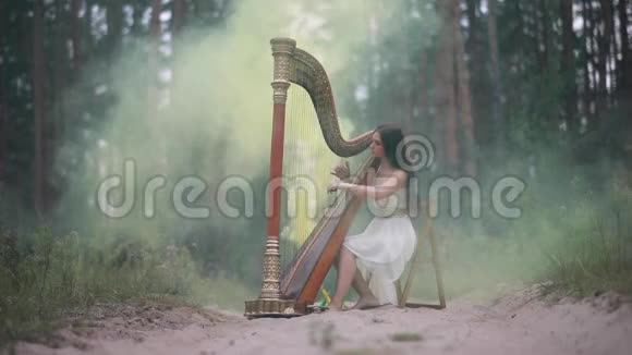 女竖琴演奏家在森林和弹竖琴背景的黄烟视频的预览图