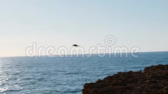 小鸟飞过大海鸟儿在空中飞过海面鸟儿在水中飞舞视频的预览图