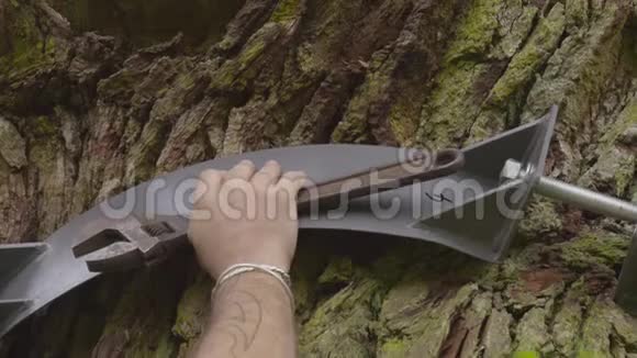 一个树夹被绑在树上视频的预览图