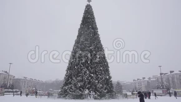 广场上一棵圣诞树背景下的大雪下了很多雪圣诞节背景慢视频的预览图