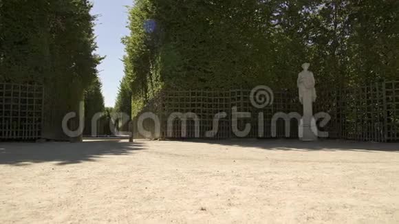 凡尔赛宫的花园里到处都是灌木丛和雕像视频的预览图