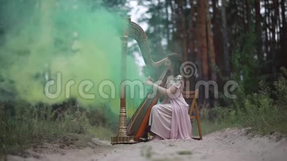 女竖琴演奏家在森林和弹竖琴背景烟雾视频的预览图