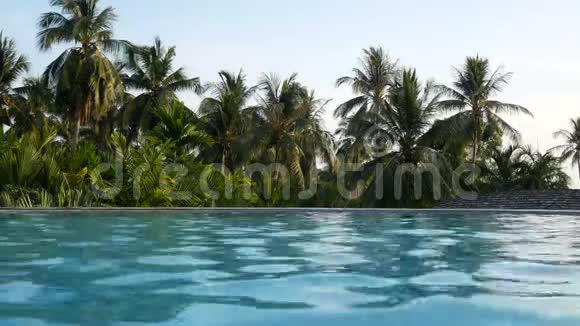 暑假期间快乐的年轻人在游泳池游泳热带地区概念夏季视频的预览图