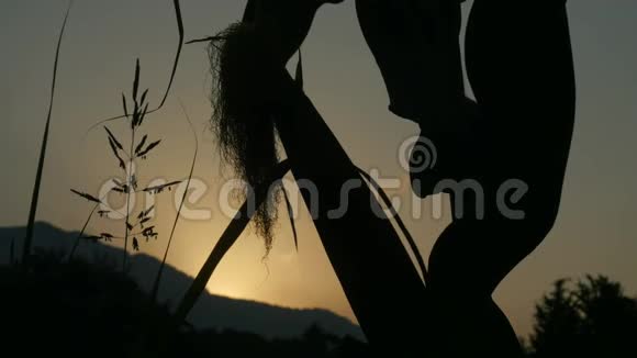 田间的麦秆上有玉米金色夕阳前的玉米穗剪影视频的预览图