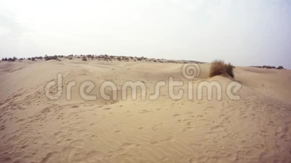 沙丘生长不良阴天沙漠TharRajasthan视频的预览图