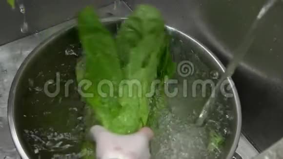 双手慢摩洗生菜视频的预览图