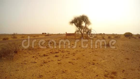 光板沙漠国家公园附近的树木汽车行驶道路拉贾斯坦邦视频的预览图