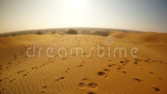 沙丘生长不良阳光明媚沙漠TharRajasthan视频的预览图