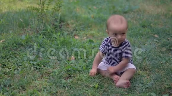 宝宝坐在草地上视频的预览图