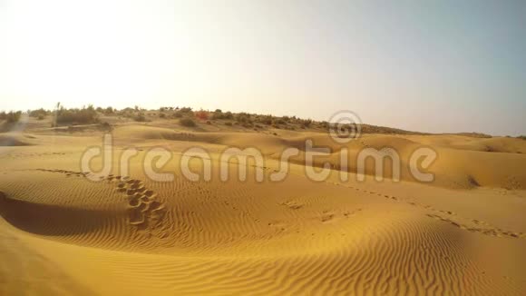 一群骆驼在地平线上移动黄色的沙丘沙漠塔尔拉贾斯坦邦视频的预览图