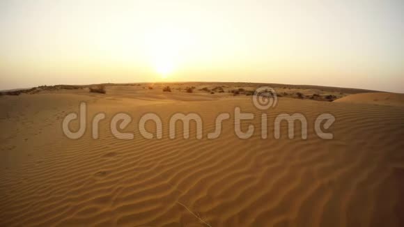 骆驼群在地平线沙丘沙漠中移动视频的预览图